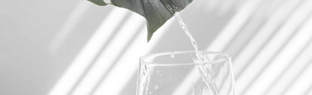 Agua purificada para cocinar